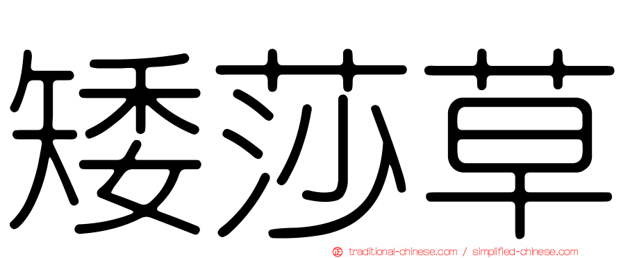 矮莎草
