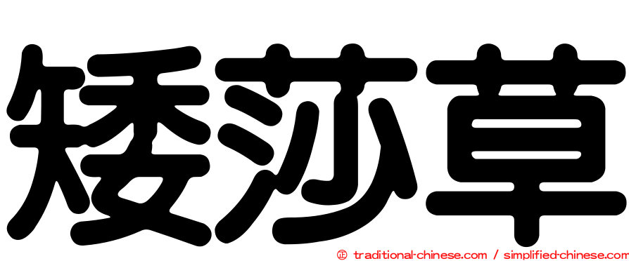 矮莎草