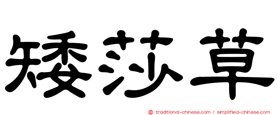 矮莎草