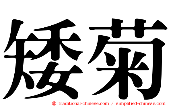 矮菊