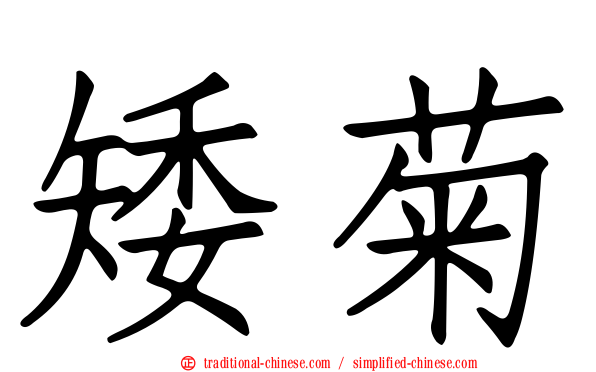 矮菊