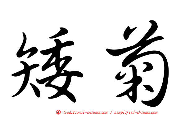 矮菊