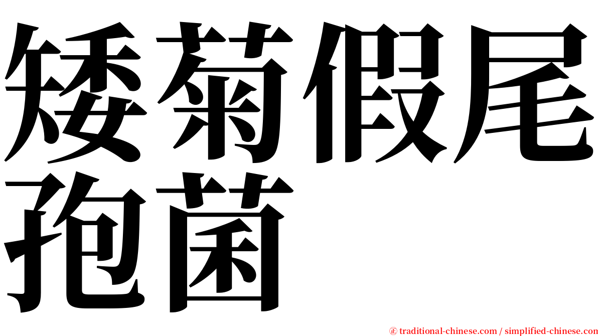 矮菊假尾孢菌 serif font