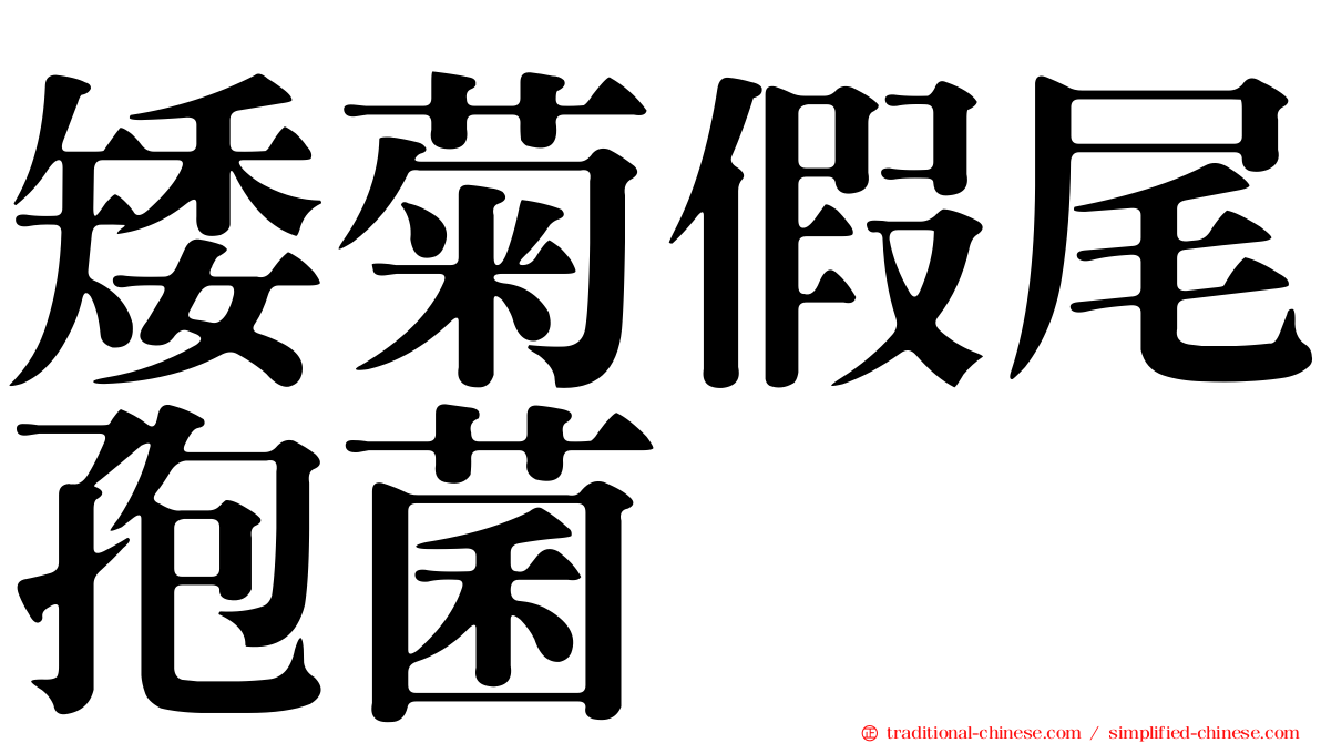 矮菊假尾孢菌