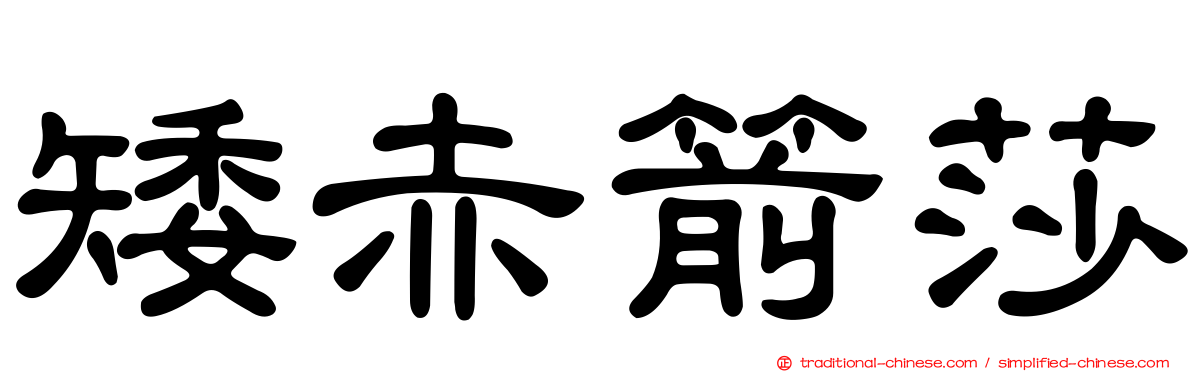 矮赤箭莎