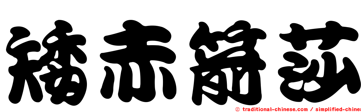 矮赤箭莎