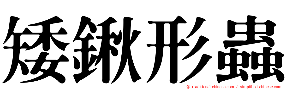 矮鍬形蟲