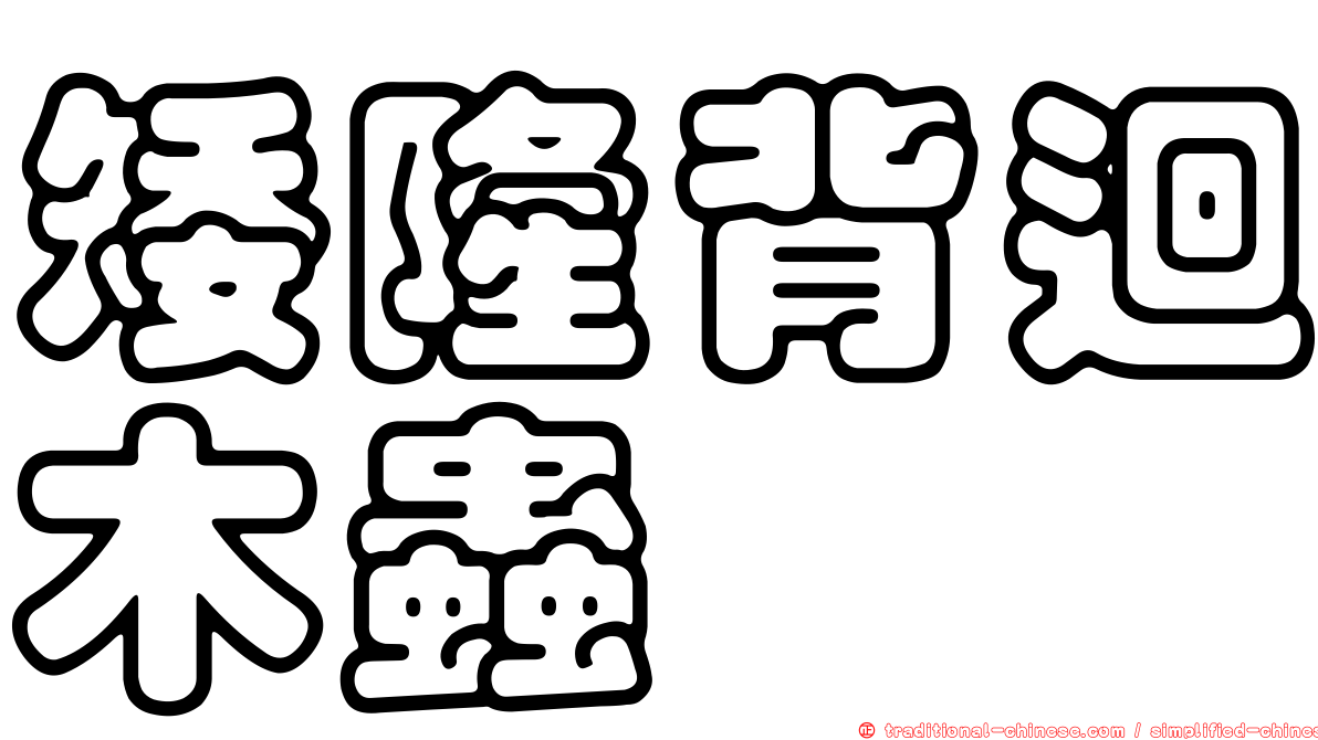 矮隆背迴木蟲