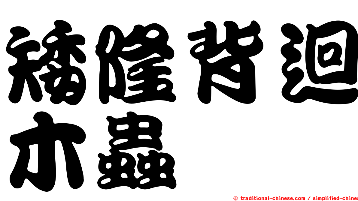 矮隆背迴木蟲