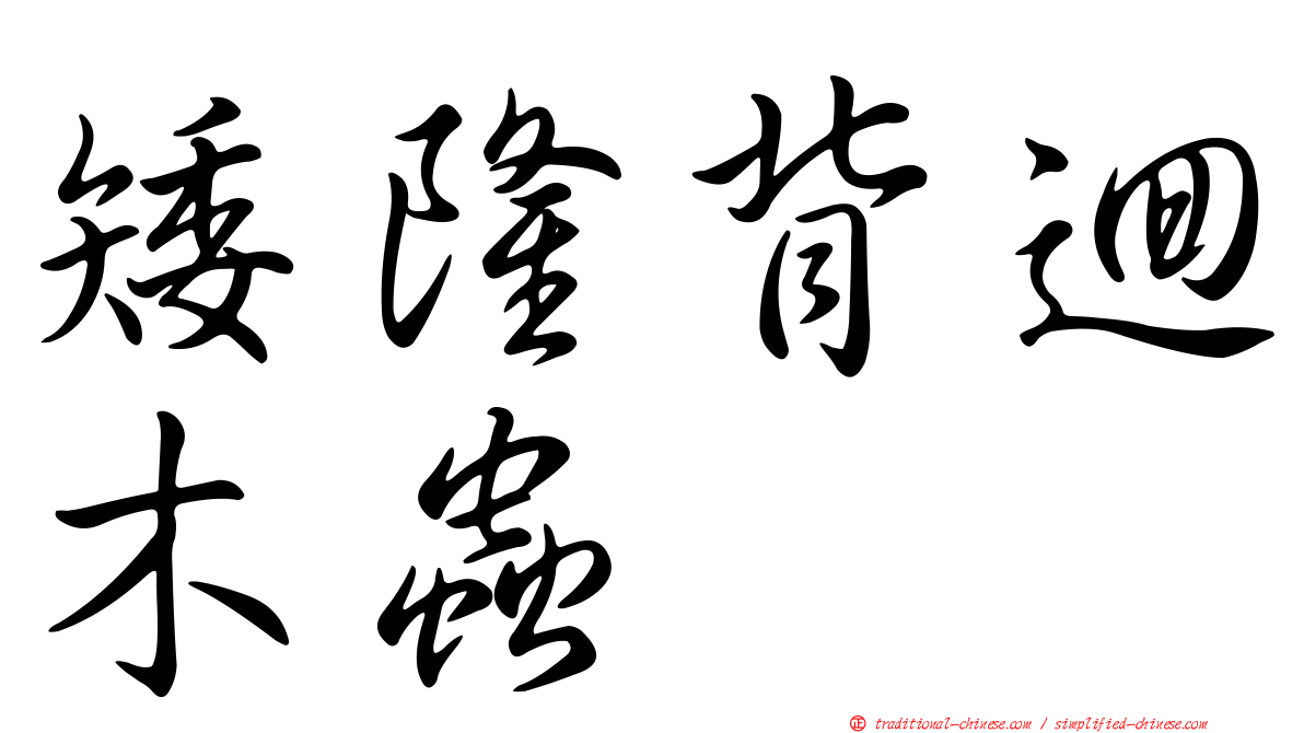 矮隆背迴木蟲