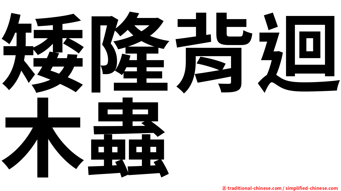 矮隆背迴木蟲