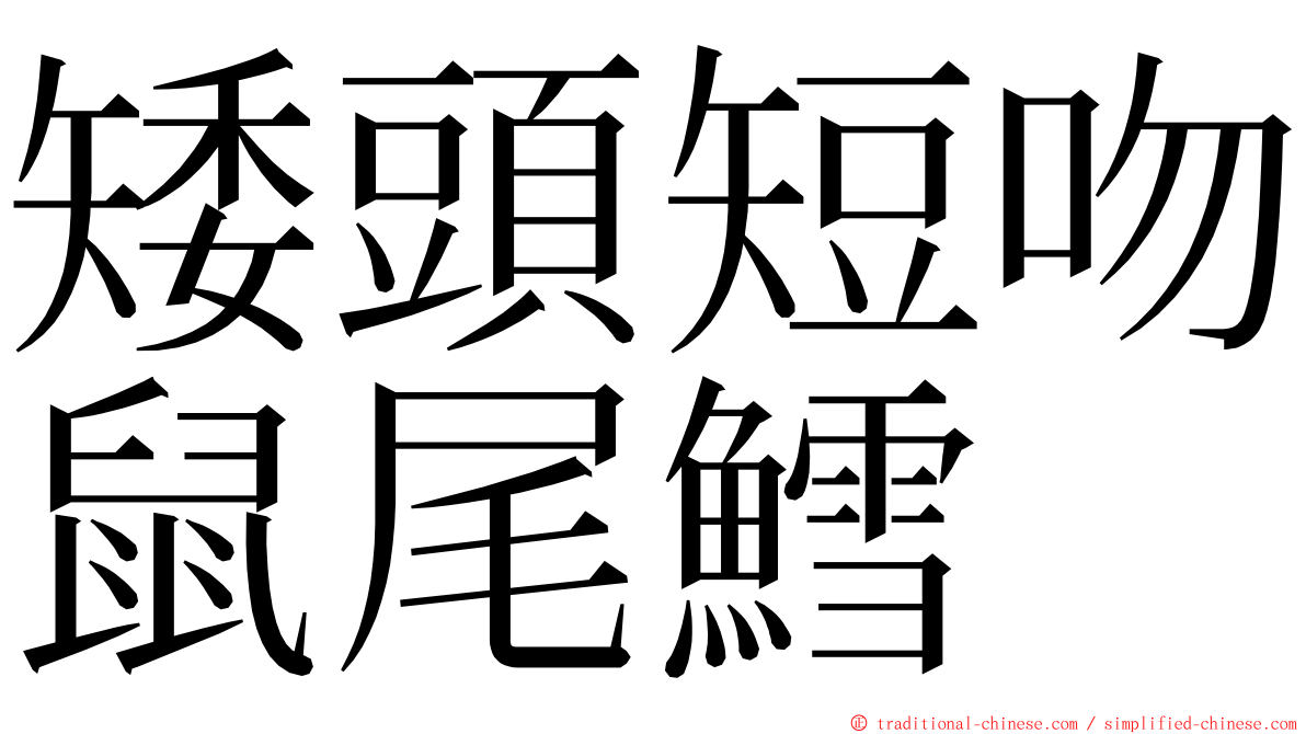 矮頭短吻鼠尾鱈 ming font