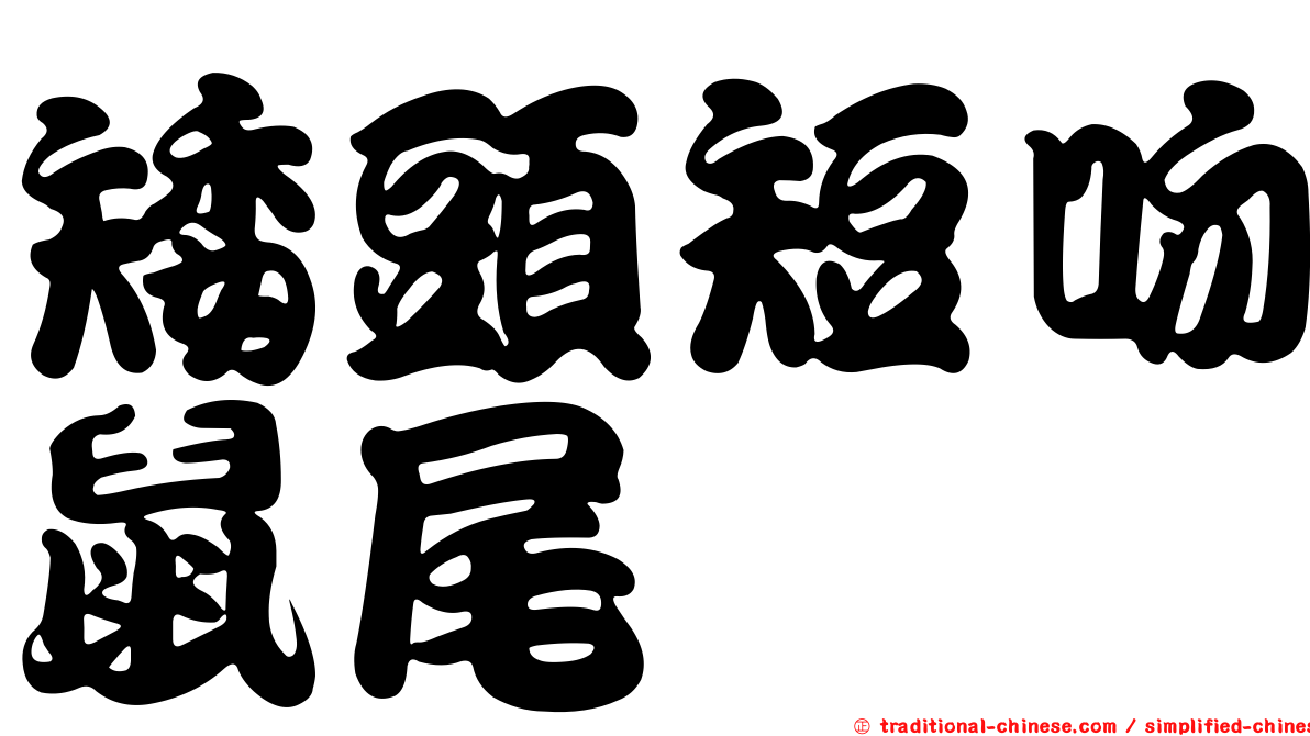 矮頭短吻鼠尾鱈