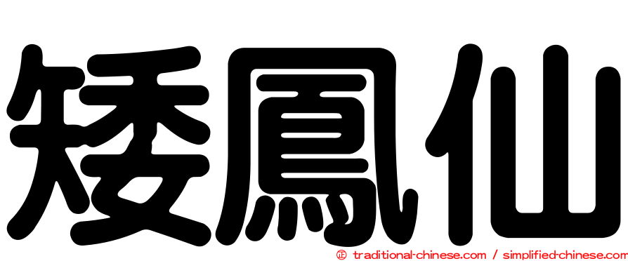 矮鳳仙