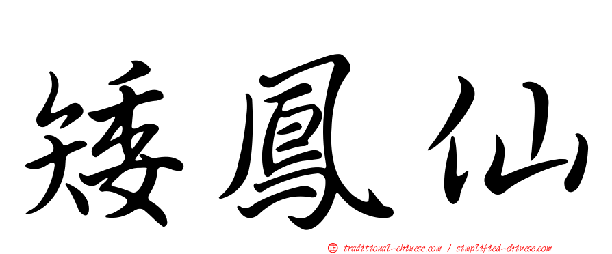 矮鳳仙