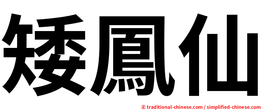 矮鳳仙