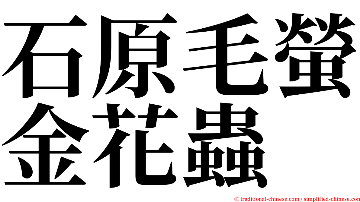 石原毛螢金花蟲 serif font