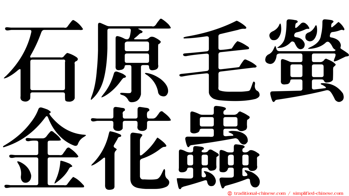 石原毛螢金花蟲
