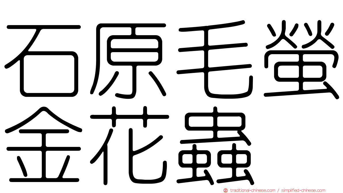 石原毛螢金花蟲
