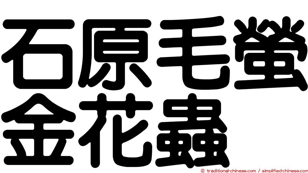 石原毛螢金花蟲