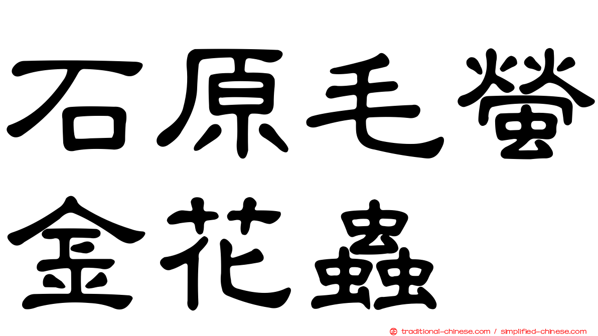 石原毛螢金花蟲