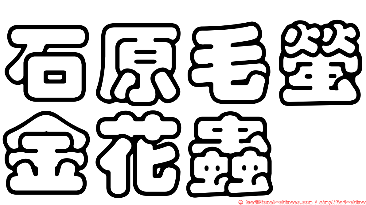 石原毛螢金花蟲