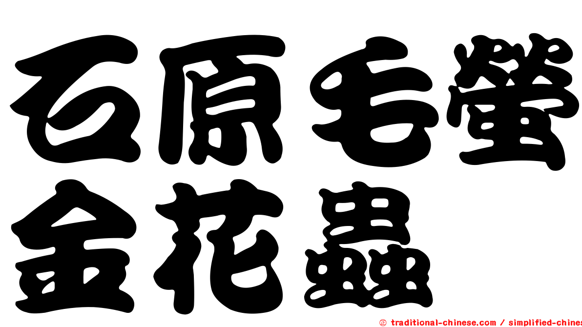石原毛螢金花蟲