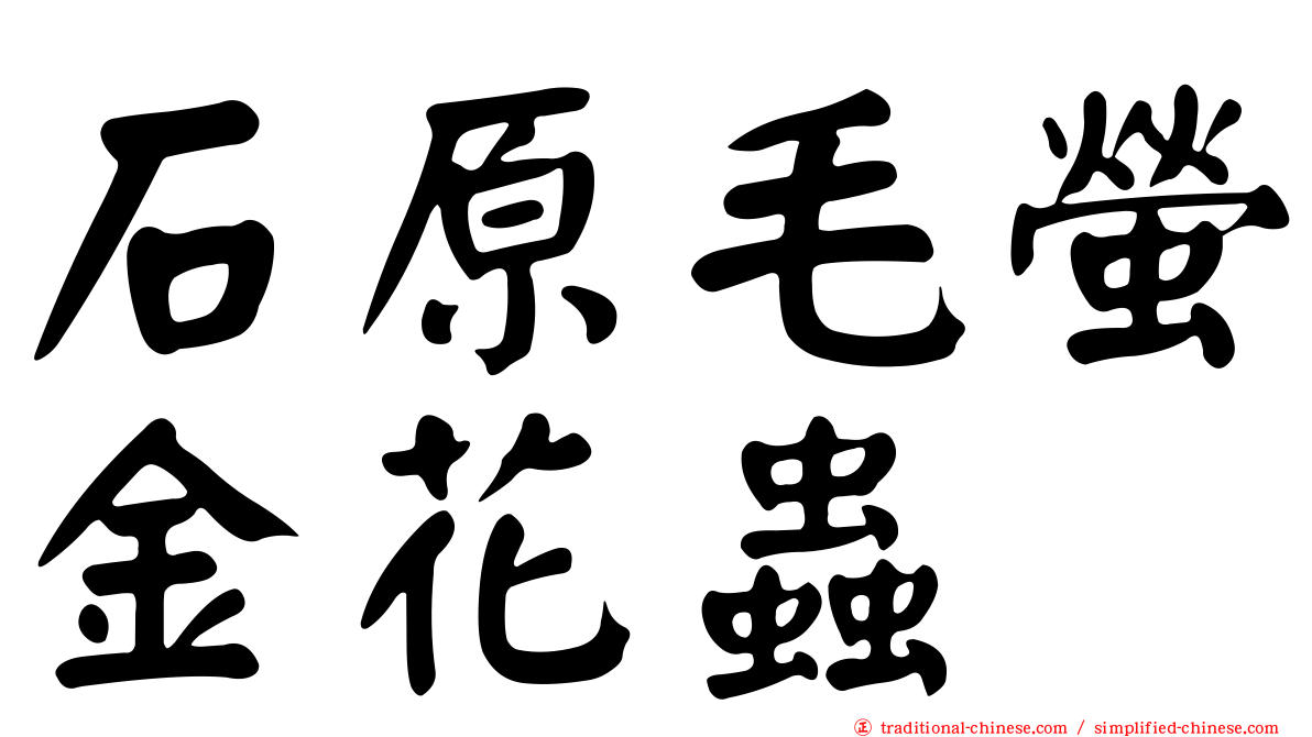 石原毛螢金花蟲