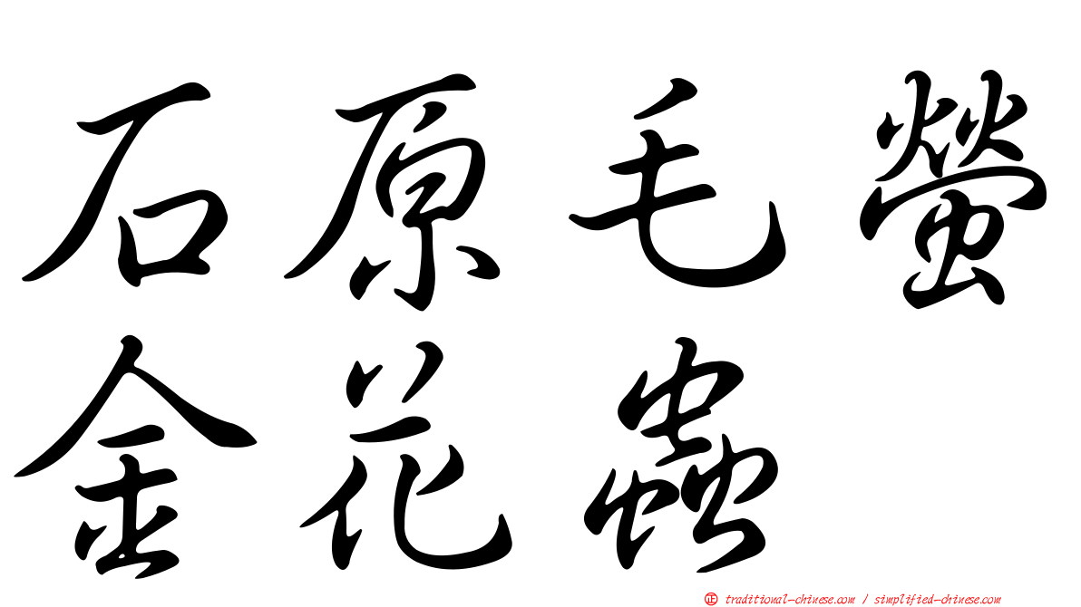 石原毛螢金花蟲