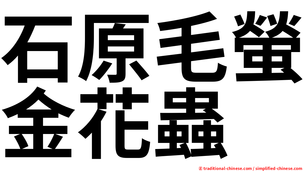 石原毛螢金花蟲