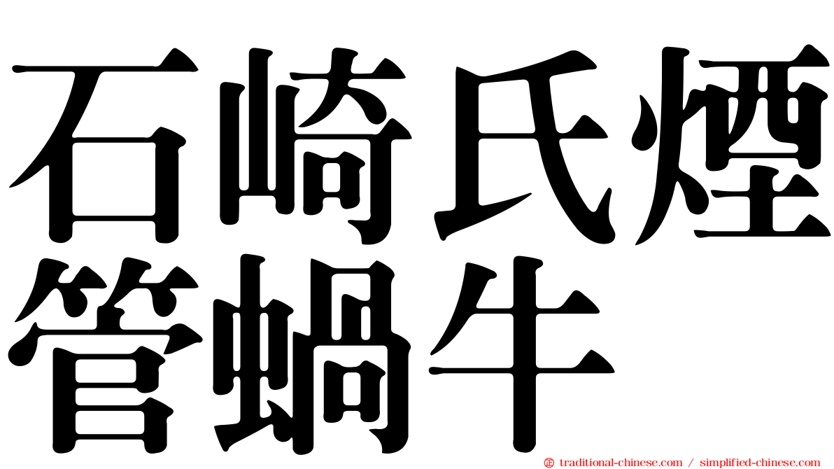 石崎氏煙管蝸牛