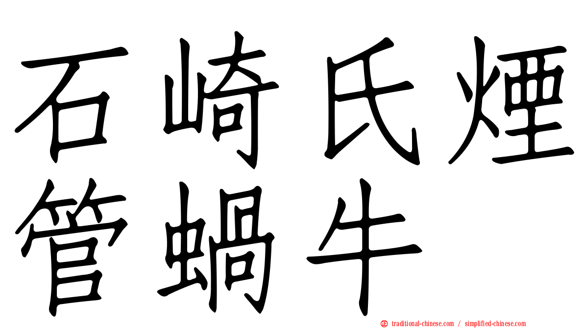 石崎氏煙管蝸牛
