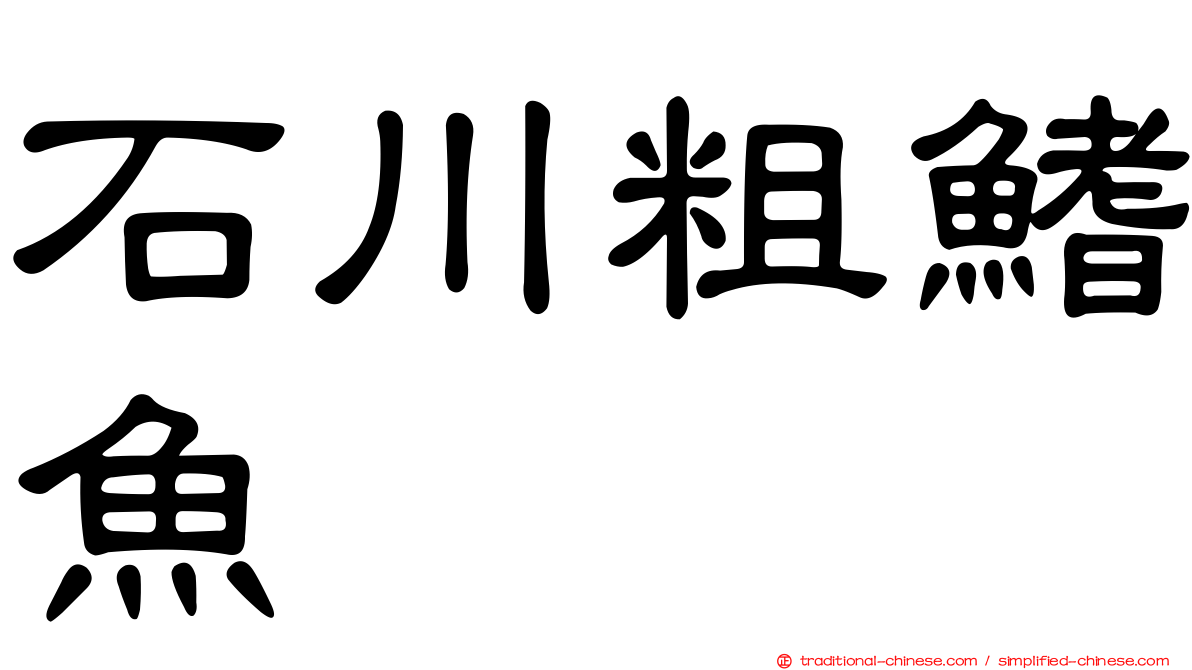 石川粗鰭魚