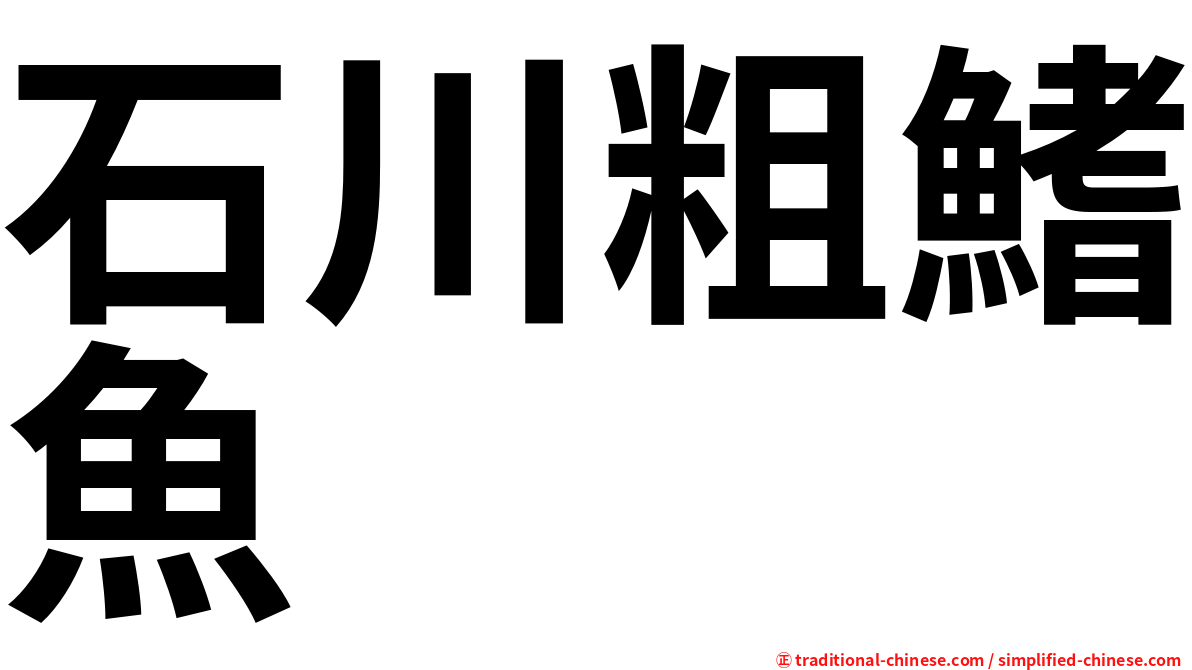石川粗鰭魚
