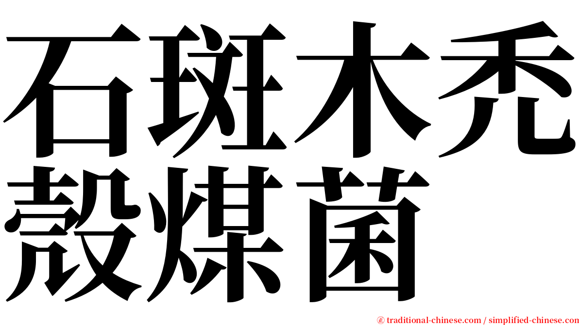 石斑木禿殼煤菌 serif font