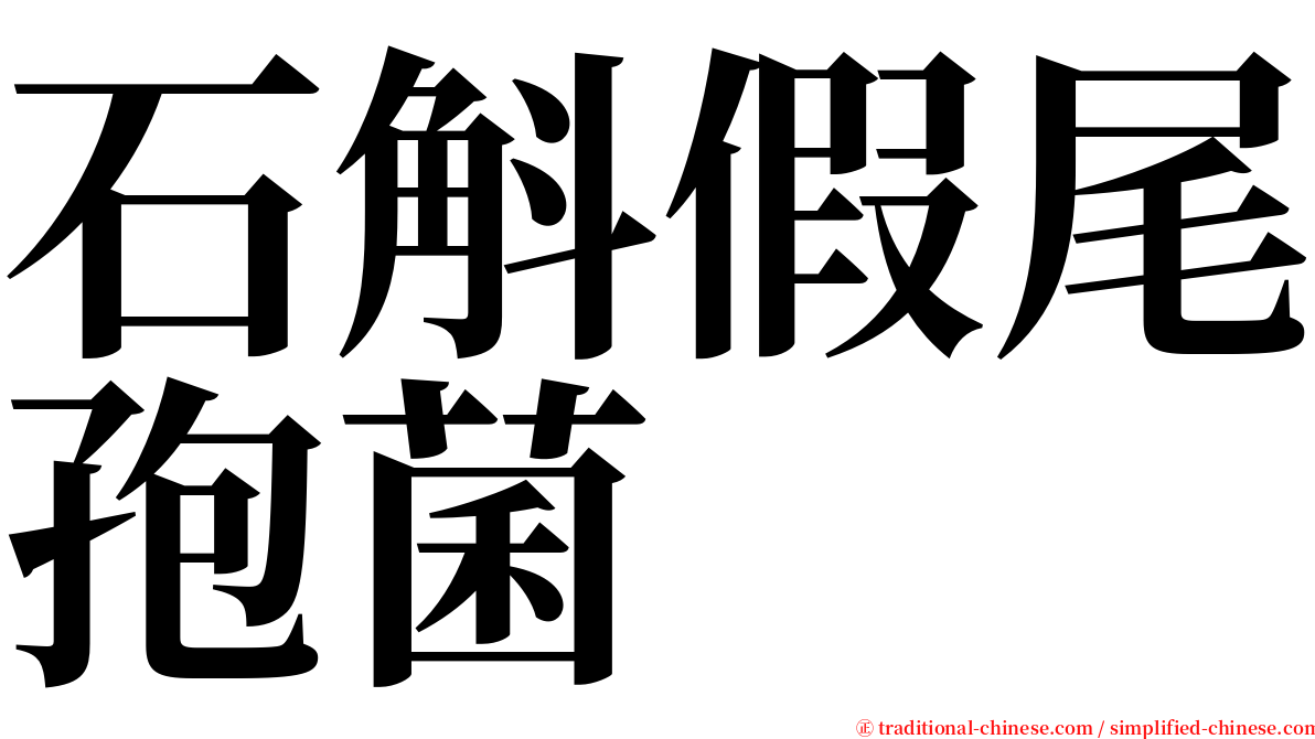 石斛假尾孢菌 serif font