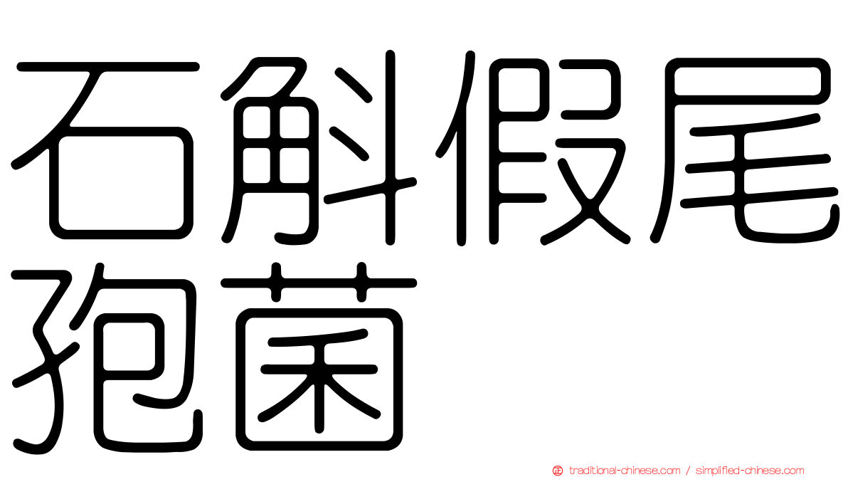 石斛假尾孢菌