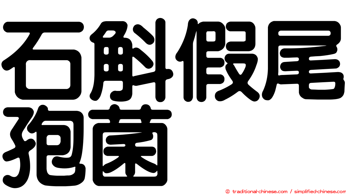 石斛假尾孢菌