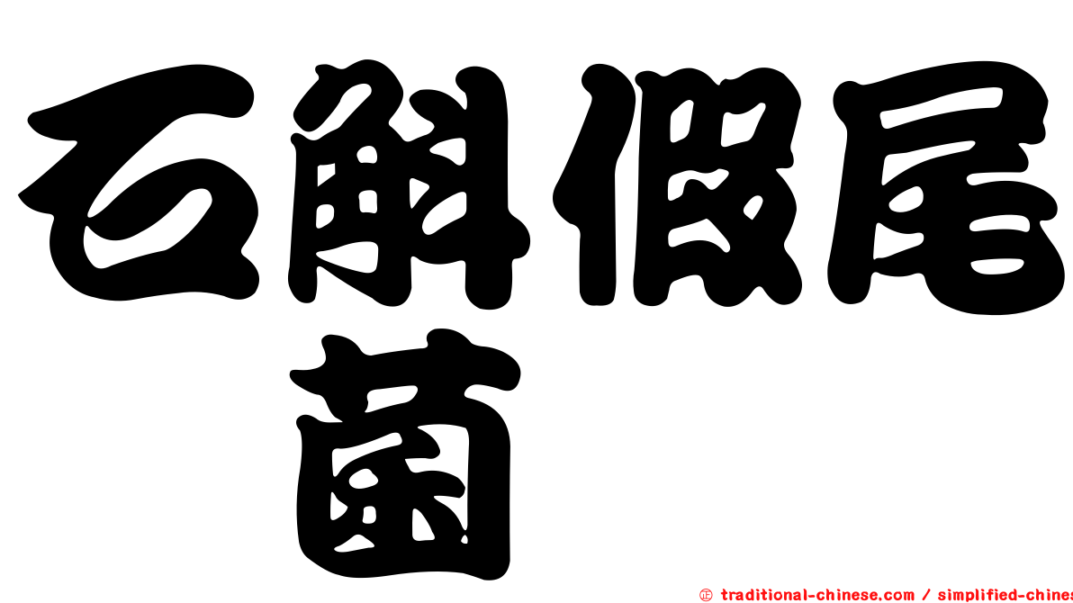 石斛假尾孢菌