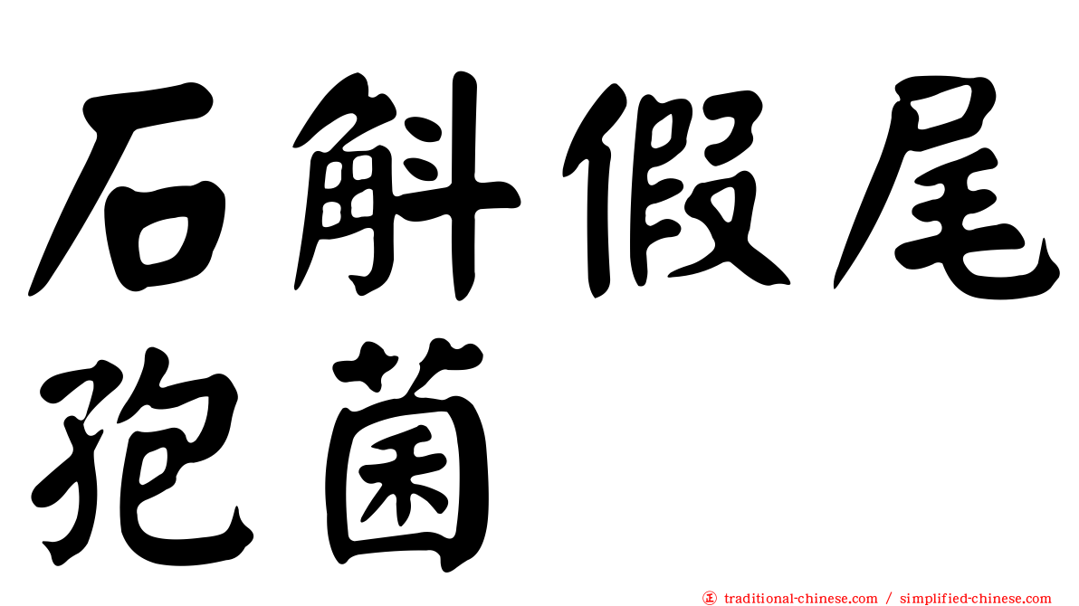 石斛假尾孢菌