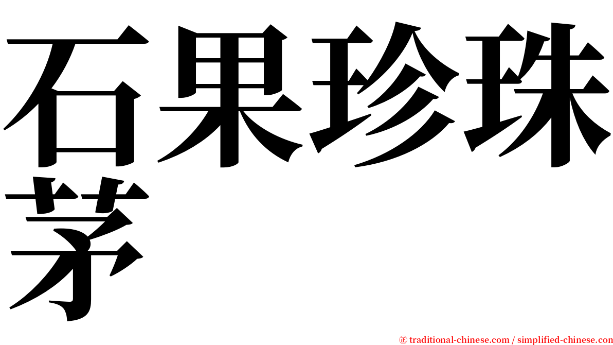 石果珍珠茅 serif font