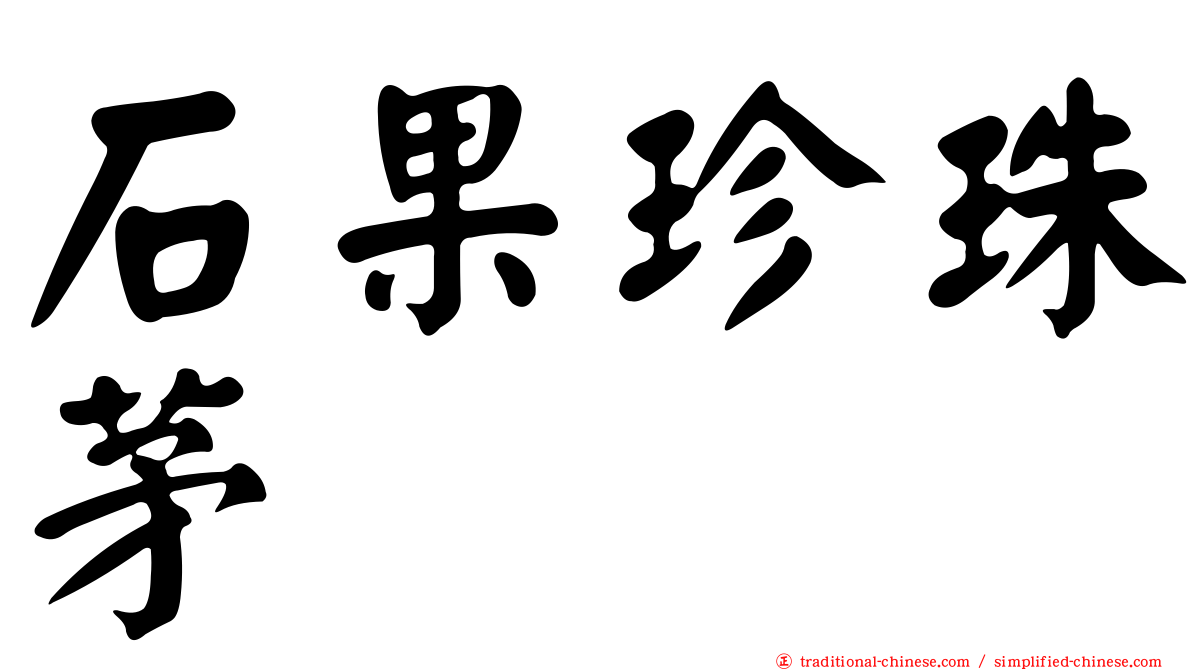 石果珍珠茅