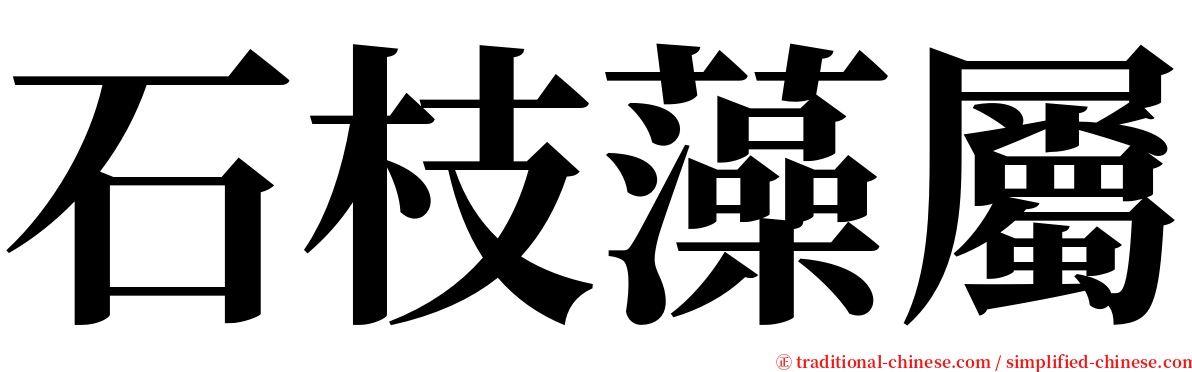 石枝藻屬 serif font