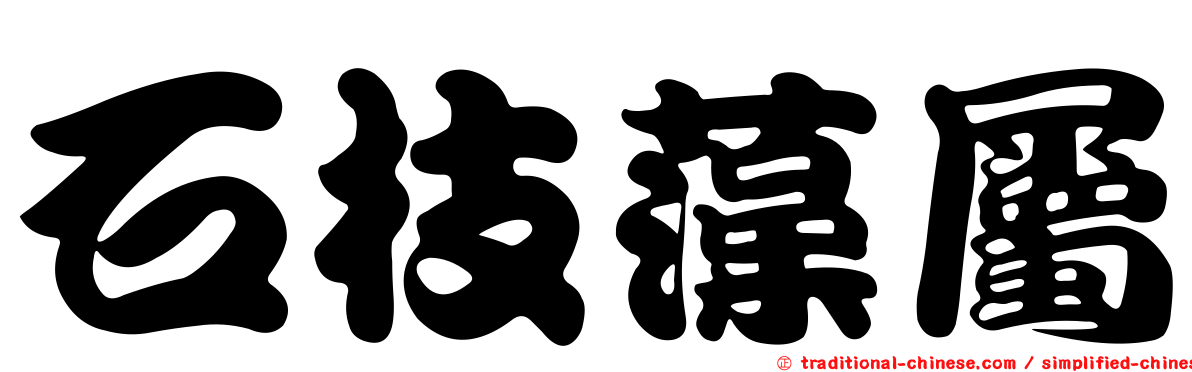 石枝藻屬