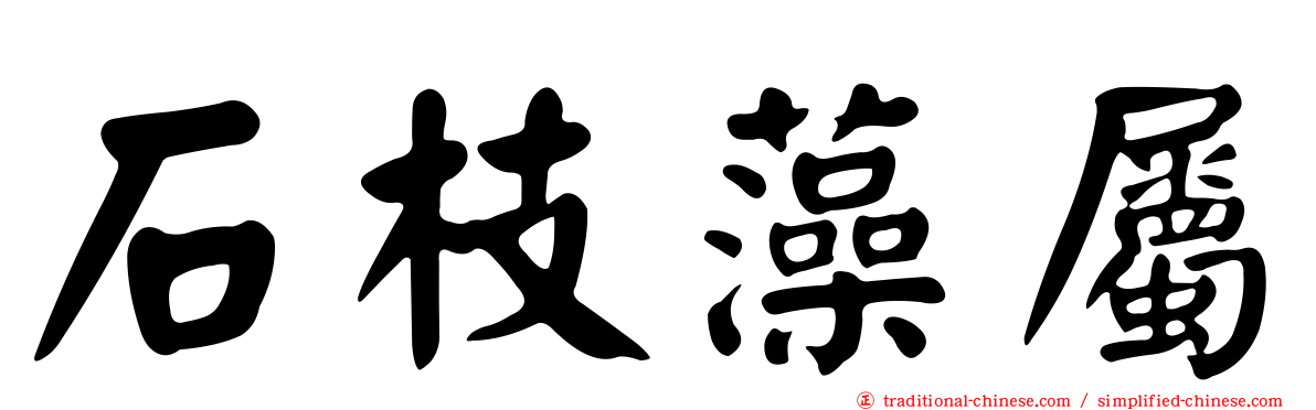 石枝藻屬