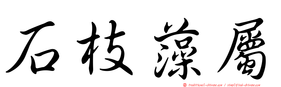石枝藻屬