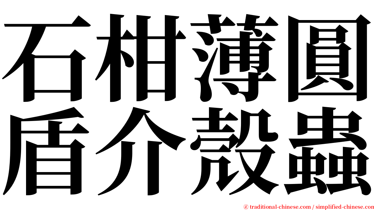 石柑薄圓盾介殼蟲 serif font