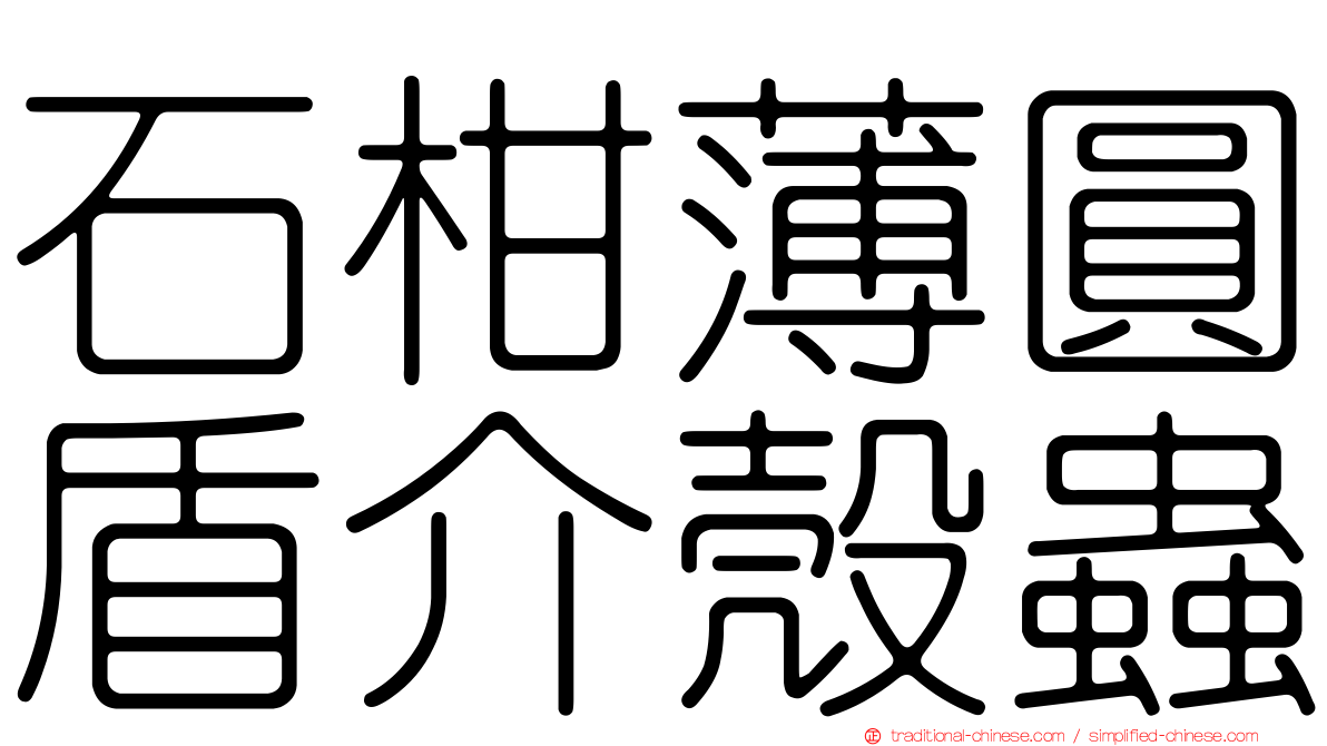 石柑薄圓盾介殼蟲