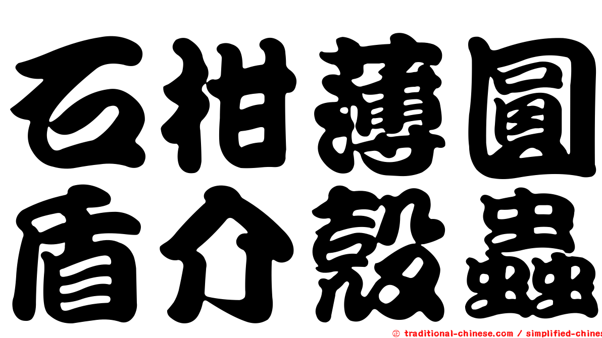 石柑薄圓盾介殼蟲