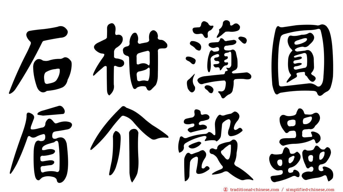 石柑薄圓盾介殼蟲